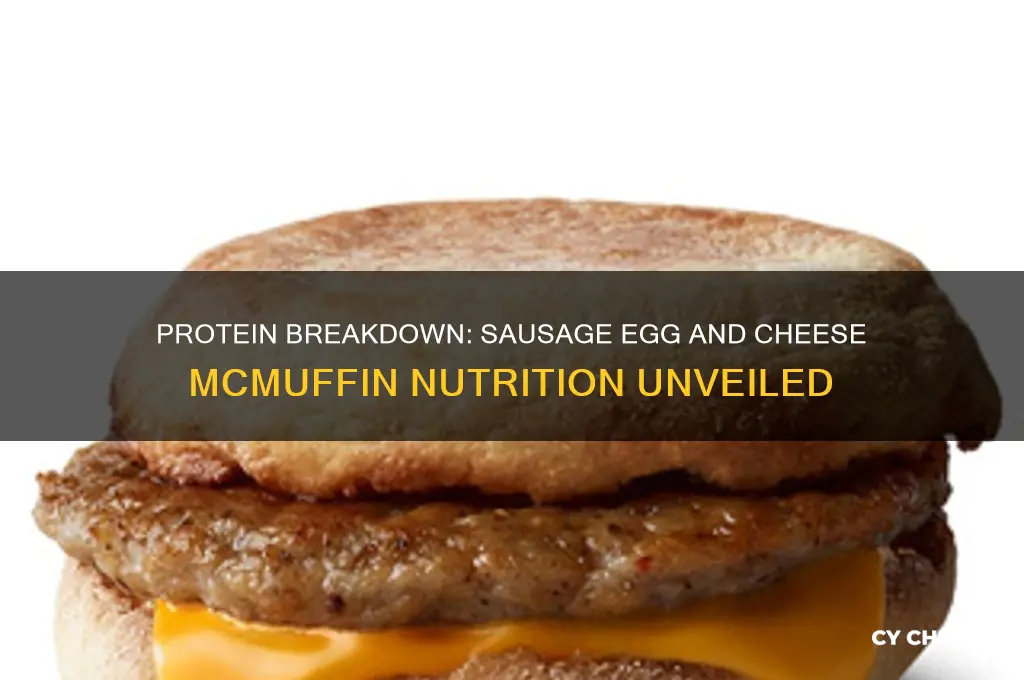 how much protein in a sausage egg and cheese mcmuffin