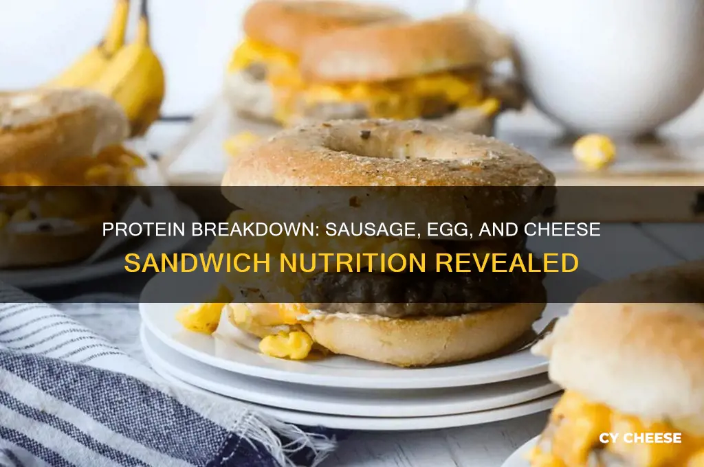 how much protein in a sausage egg and cheese