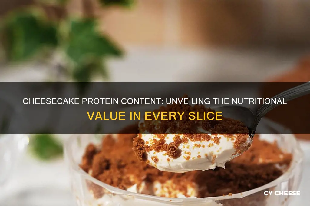 how much protein in a serving of cheese cake