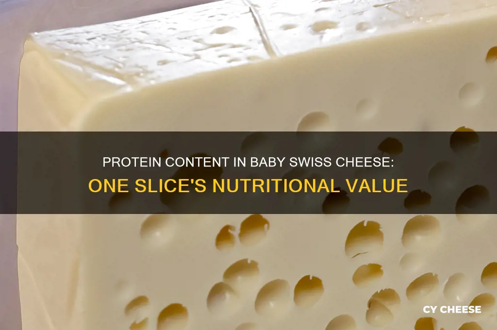how much protein in a slice of baby swiss cheese