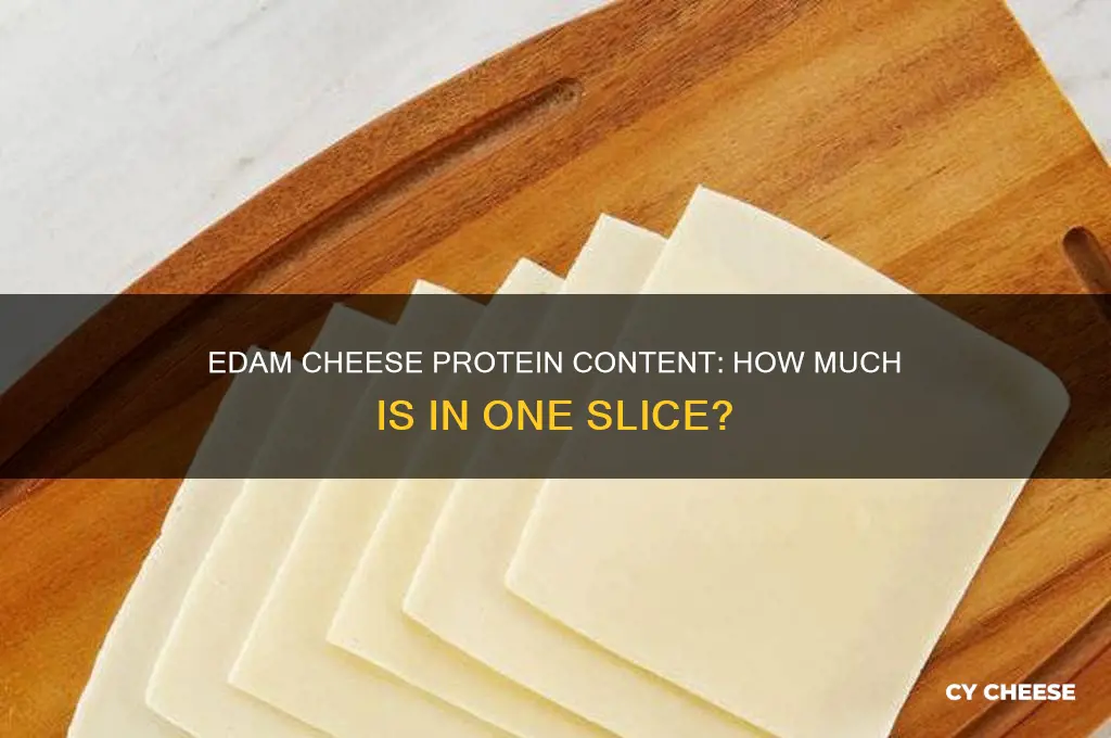 how much protein in a slice of edam cheese