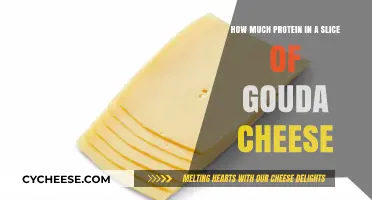 Gouda Cheese Protein Content: How Much is in One Slice?