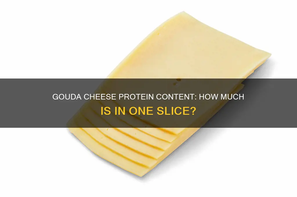 how much protein in a slice of gouda cheese