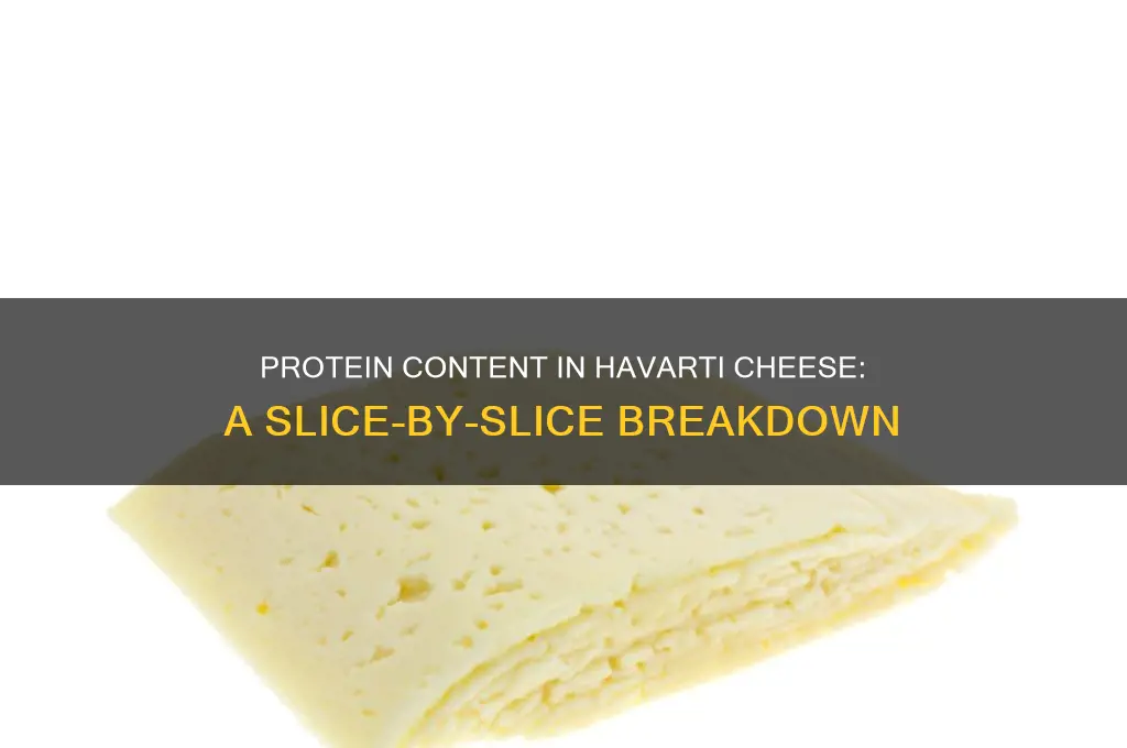 how much protein in a slice of havarti cheese