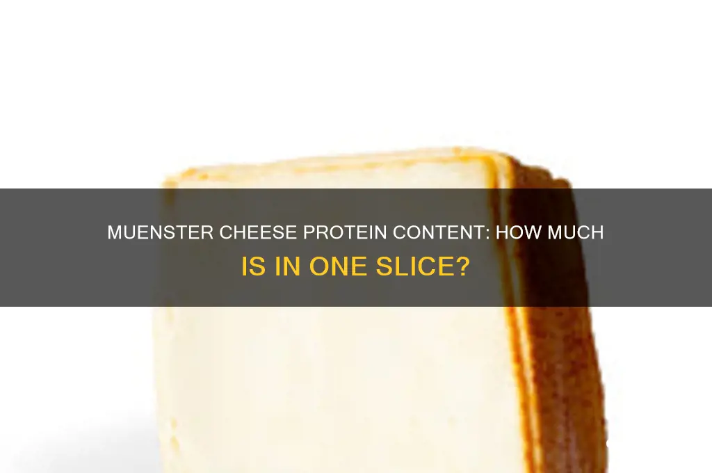 how much protein in a slice of muenster cheese