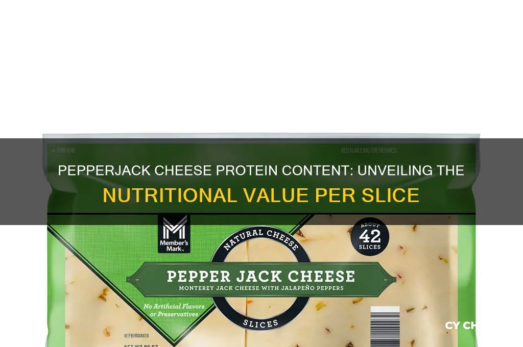 how much protein in a slice of pepperjack cheese