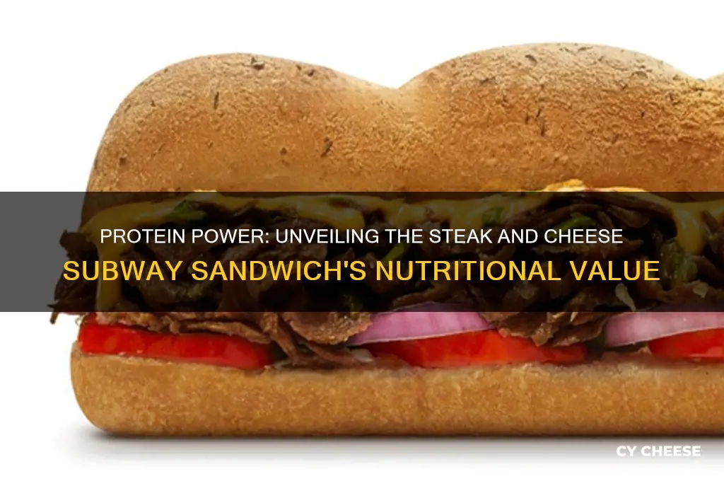 how much protein in a steak and cheese subway