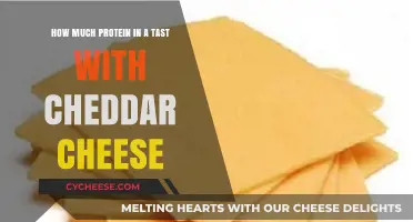 Cheddar Cheese Protein Content: Unveiling the Nutritional Value in a Slice
