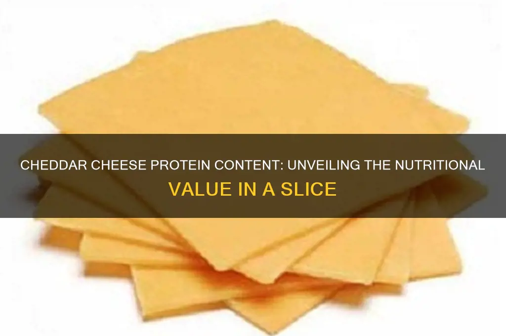 how much protein in a tast with cheddar cheese