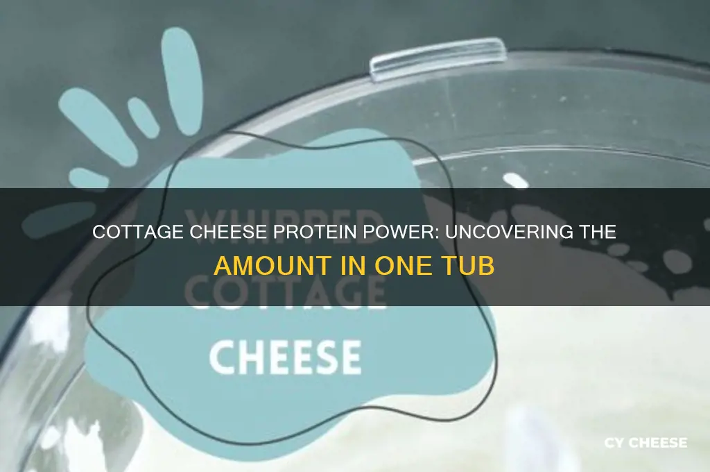 how much protein in a tub of cottage cheese