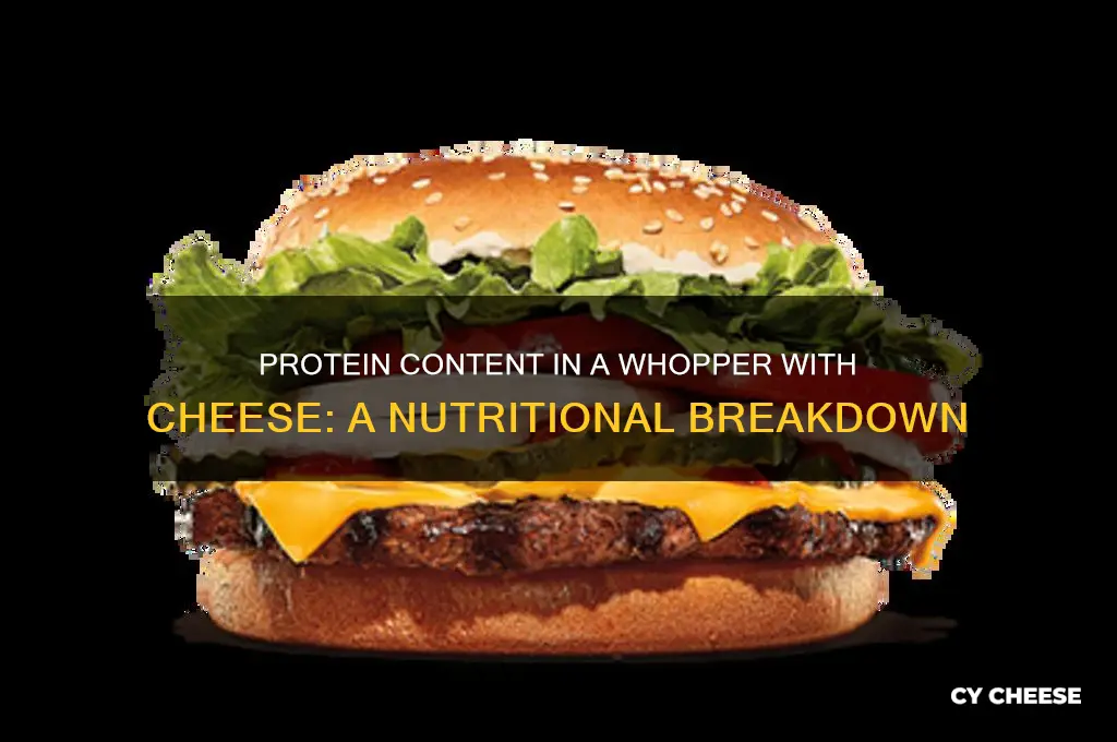how much protein in a whopper with cheese