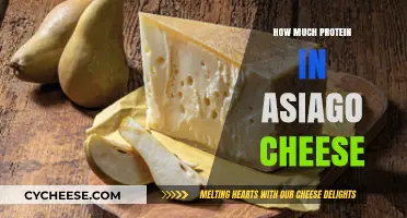 Asiago Cheese Protein Content: A Nutritional Breakdown and Benefits