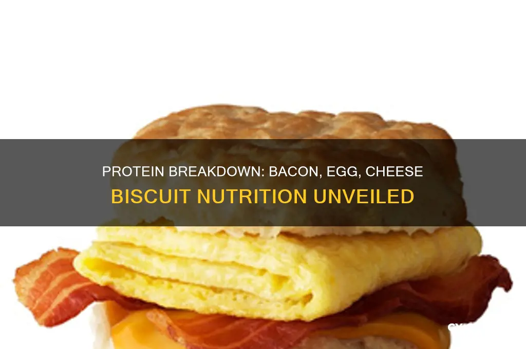 how much protein in bacon egg cheese biscuit