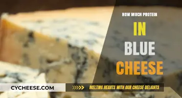 Blue Cheese Protein Content: Unveiling Nutritional Value and Benefits