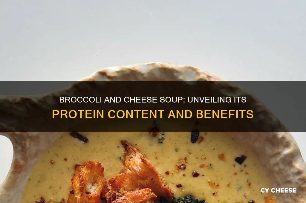 how much protein in broccoli and cheese soup