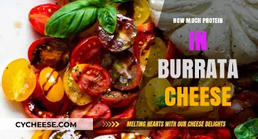 Burrata Cheese Protein Content: A Nutritional Breakdown and Benefits