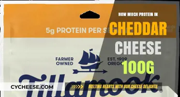 Cheddar Cheese Protein Content: How Much is in 100g?