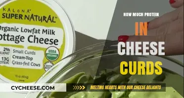 Cheese Curds Protein Content: A Nutritional Breakdown and Benefits