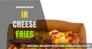 Cheese Fries Protein Content: Uncovering the Nutritional Facts