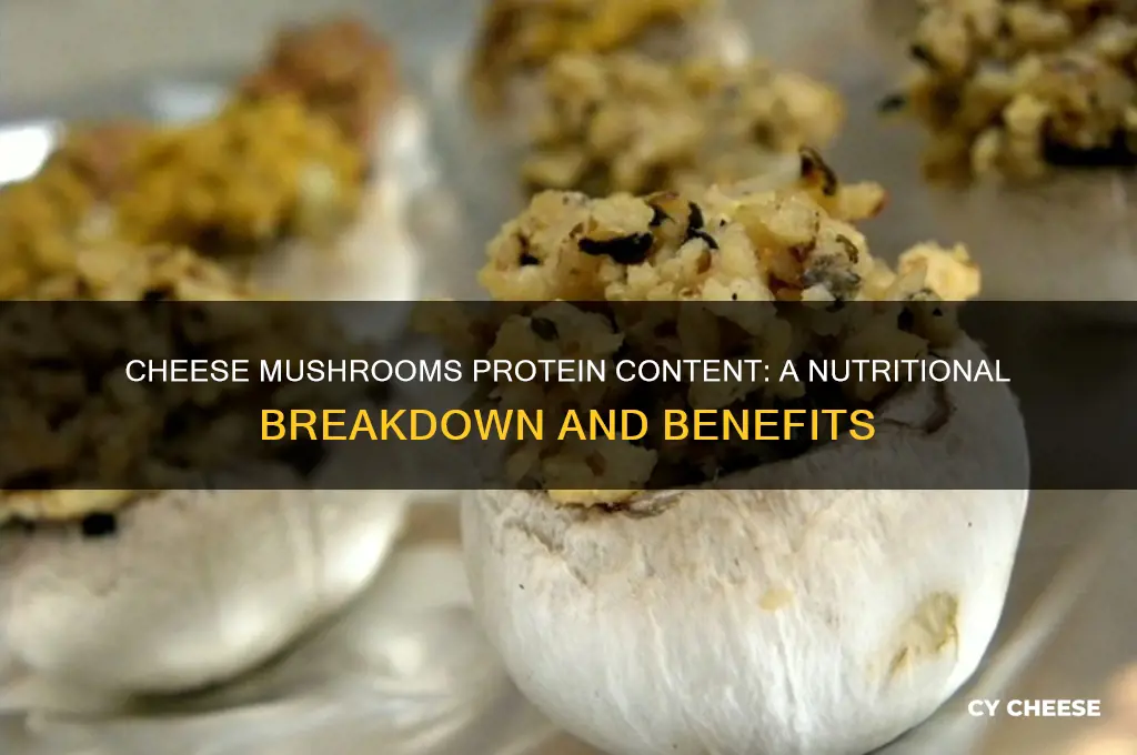 how much protein in cheese mushrooms