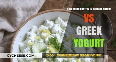 Cottage Cheese vs Greek Yogurt: Comparing Protein Content for Healthy Eating