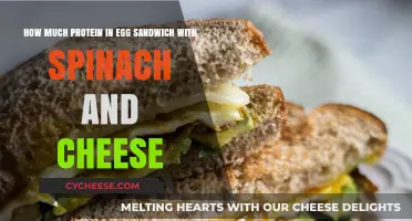 Protein-Packed Egg Sandwich: Spinach, Cheese, and Nutrition Breakdown