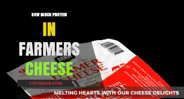 Farmers Cheese Protein Content: A Nutritional Breakdown and Benefits