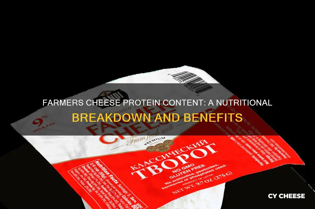 how much protein in farmers cheese