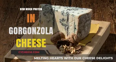 Gorgonzola Cheese Protein Content: A Nutritional Breakdown