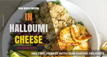 Halloumi Cheese Protein Content: A Nutritional Breakdown and Benefits