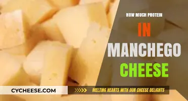 Manchego Cheese Protein Content: A Nutritional Breakdown and Benefits