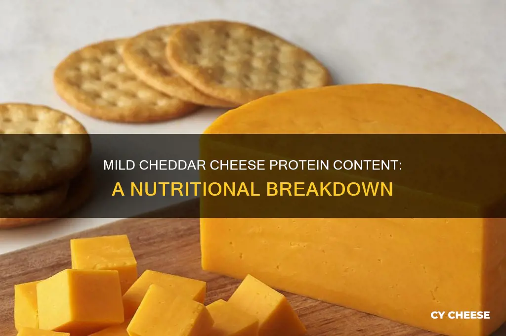 how much protein in mild cheddar cheese
