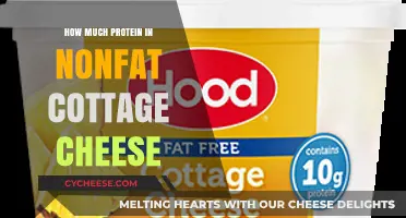 Protein Power: Nonfat Cottage Cheese Nutrition Breakdown Revealed