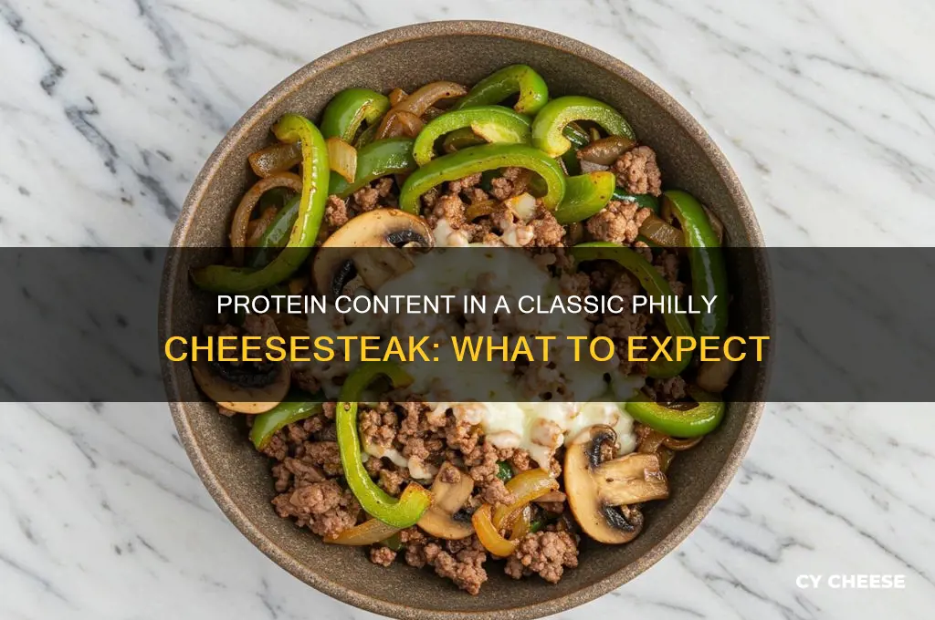 how much protein in philly cheese steak
