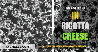 Ricotta Cheese Protein Content: A Nutritional Breakdown and Benefits