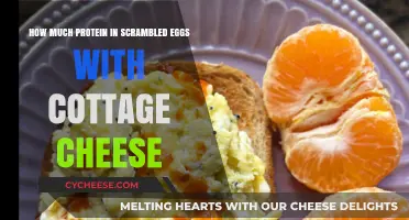Protein Powerhouse: Scrambled Eggs and Cottage Cheese Nutrition Breakdown