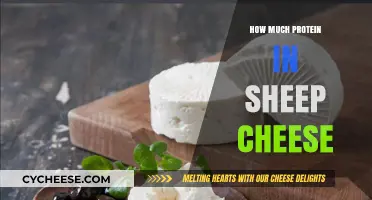 Sheep Cheese Protein Content: A Nutritional Breakdown and Benefits