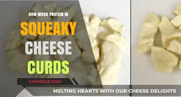 Squeaky Cheese Curds: Uncovering Their Surprising Protein Content