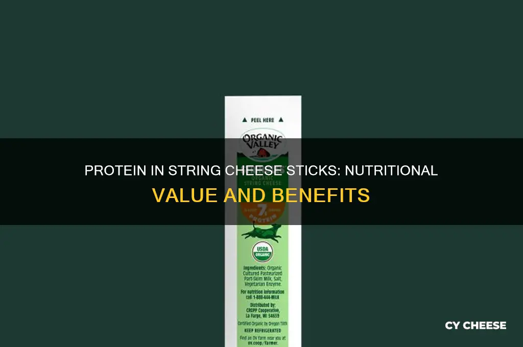how much protein in string cheese stick