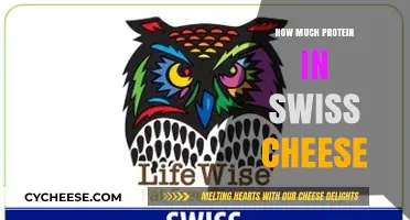 Swiss Cheese Protein Content: Unveiling the Nutritional Value in Every Slice