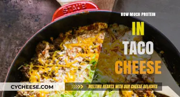 Taco Cheese Protein Content: Unveiling the Nutritional Value in Every Bite