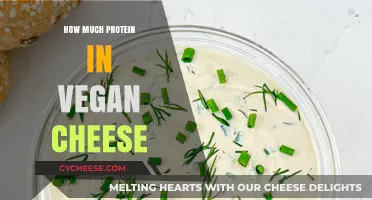 Vegan Cheese Protein Content: Uncovering Nutritional Value in Plant-Based Alternatives