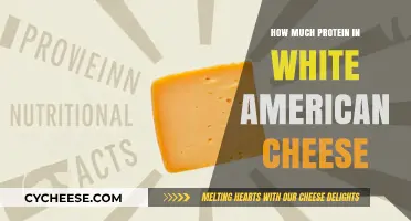 White American Cheese Protein Content: A Nutritional Breakdown