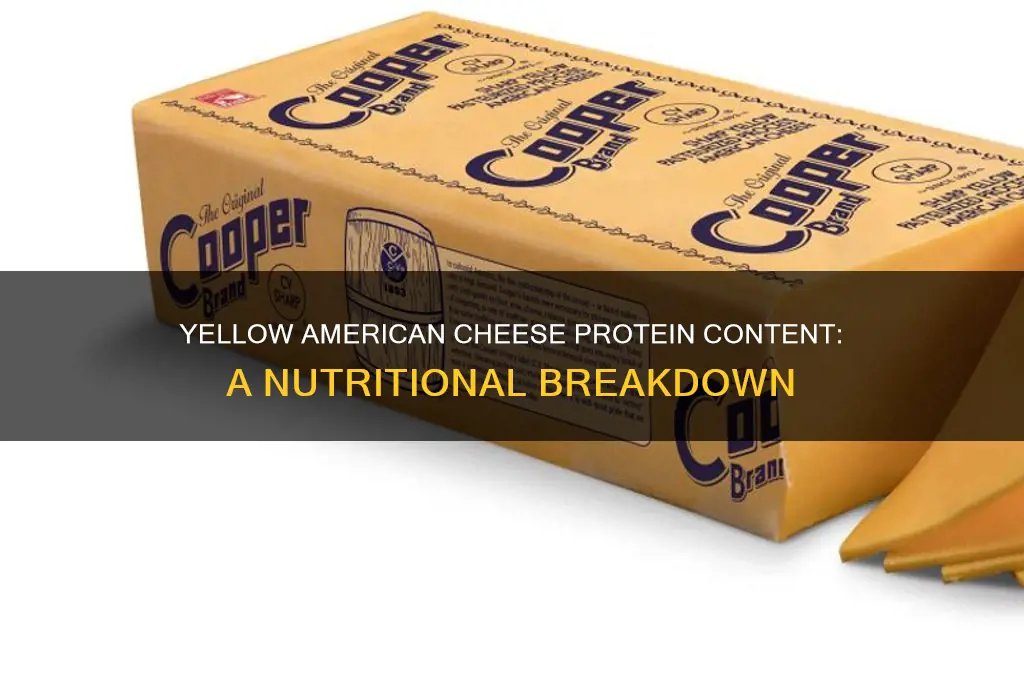 how much protein in yellow american cheese