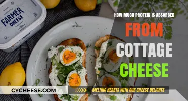 Maximizing Protein Absorption: How Cottage Cheese Fuels Your Body