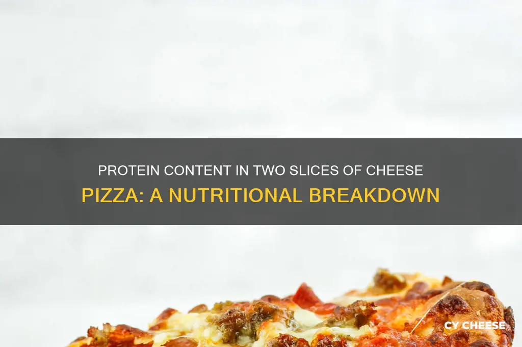 how much protein is in 2 pieces of cheese pizza