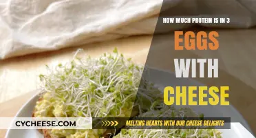 Protein Power: Unveiling the Nutritional Value of 3 Eggs with Cheese