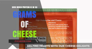 Protein Content in 50 Grams of Cheese: A Nutritional Breakdown