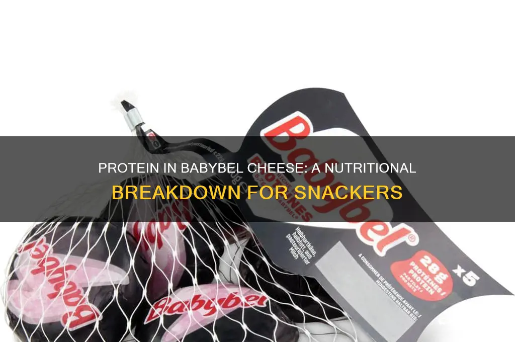how much protein is in a babybel cheese