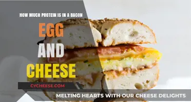 Bacon, Egg, and Cheese Protein Breakdown: A Nutritional Analysis